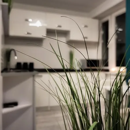 Apartament Green Mragowo-Mazury,Blisko Plaza, Centrum! Wi-Fi! Exterior photo